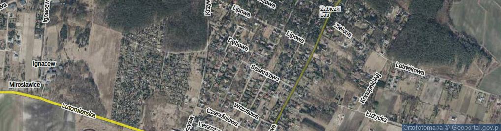 Zdjęcie satelitarne Sasankowa ul.